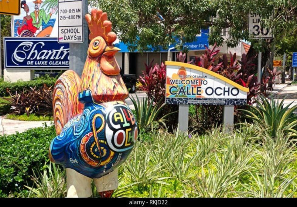 Intimate Casita Mia Minutes Away From Airport, Calle 8, Brickell, Coral Gables, The Beach And More! Miami Exteriör bild